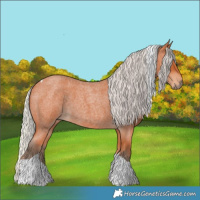 Horse Color:Silver Bay Roan Tobiano 