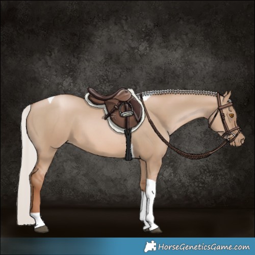 Horse Color:Silver Grullo Pearl Tobiano