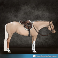 Horse Color:Silver Grullo Pearl Tobiano 