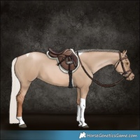 Horse Color:Silver Grullo Pearl Tobiano