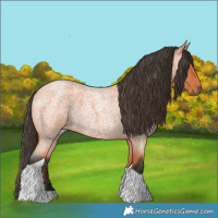 Horse Color:Bay Roan Tobiano 