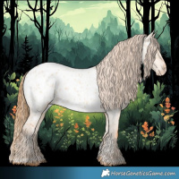 Horse Color:Red Dun Appaloosa  and Red Dun Appaloosa 