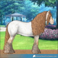 Horse Color:Red Dun Near Leopard  and Red Dun Near Leopard 