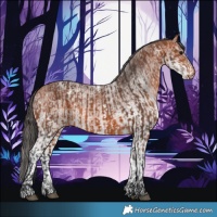 Horse Color:Bay Varnish and White Spotted Bay Varnish