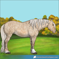 Horse Color:Chocolate Palomino Dun Snowflake Varnish and Chocolate Palomino Dun Snowflake Varnish