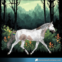 Horse Color:Liver Red Roan Tobiano Varnish  and Bay Roan Splash Tobiano Varnish 