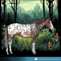 Horse Color:Bay Blanket  and Bay Splash Blanket 