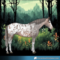 Horse Color:Bay Blanket  and Bay Splash Blanket 