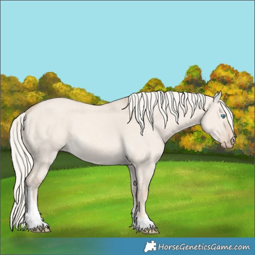 Horse Color:Cremello Dun Tobiano