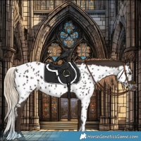 Horse Color:Liver Chestnut Skewed Appaloosa Rabicano 