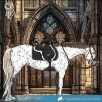Horse Color:Liver Chestnut Skewed Appaloosa Rabicano 