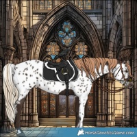 Horse Color:Liver Chestnut Skewed Appaloosa Rabicano