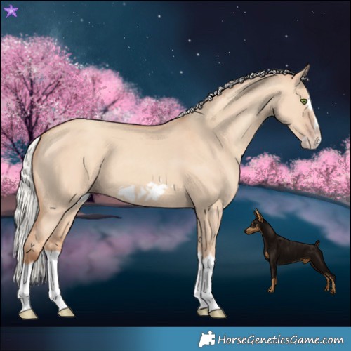 Horse Color:Silver Classic Champagne Dun Splash Frame