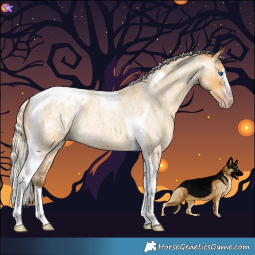 Horse Color:Gray Silver Amber Cream Champagne Roan Dun Splash Tobiano Frame Varnish Rabicano 