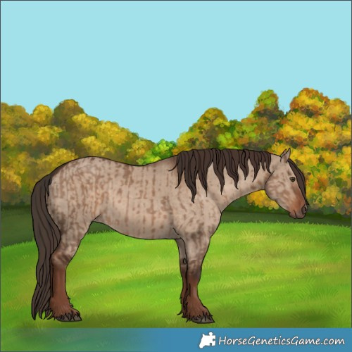 Horse Color:Liver Red Dun  and Liver Red Dun 