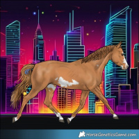 Horse Color:Chestnut Splash Frame 