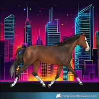 Horse Color:Bay Splash Frame 