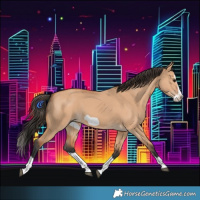 Horse Color:Bay Dun Splash Frame