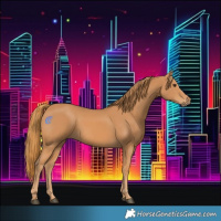 Horse Color:Chestnut Rabicano 