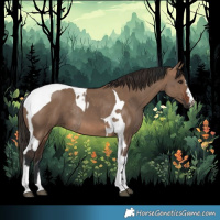 Horse Color:Brown Dun Tobiano Rabicano and Liver Red Dun Tobiano Rabicano