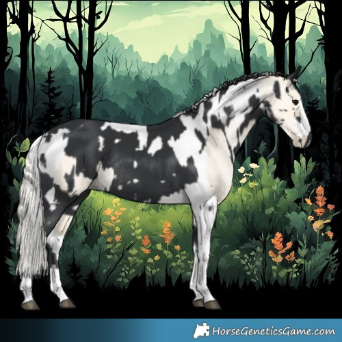 Horse Color:Black Tobiano Rabicano  and Silver Buckskin Pearl Dun Tobiano Rabicano 