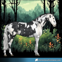 Horse Color:Black Tobiano Rabicano and Silver Buckskin Pearl Dun Tobiano Rabicano