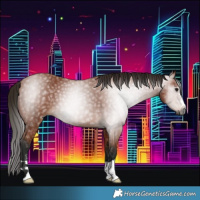 Horse Color:Gray Bay 