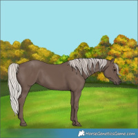 Horse Color:Silver Black 
