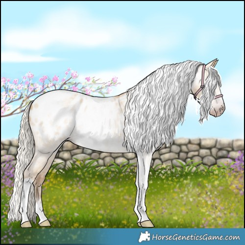 Horse Color:Gray Silver Amber Cream Champagne Roan Dun Splash Tobiano Frame Appaloosa Rabicano 