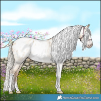 Horse Color:Gray Silver Amber Cream Champagne Roan Dun Splash Tobiano Frame Appaloosa Rabicano 