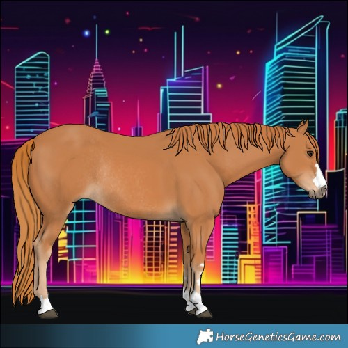 Horse Color:Chestnut Rabicano 