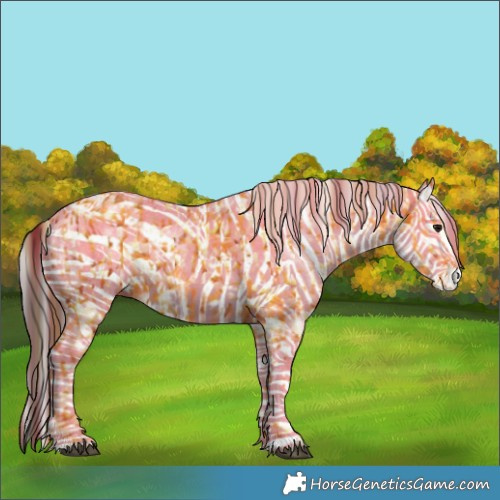 Horse Color:White Spotted Bay Splash  and White Spotted Bay Splash 