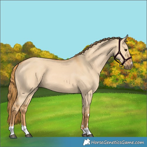 Horse Color:Red Dun 