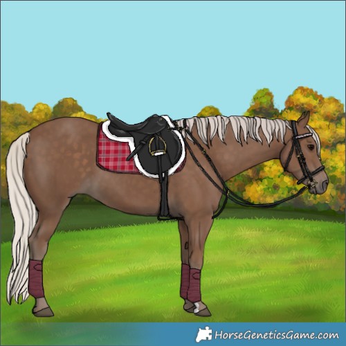 Horse Color:Silver Black 