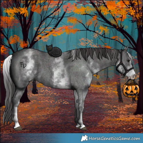 Horse Color:White Spotted Smoky Black Sabino 