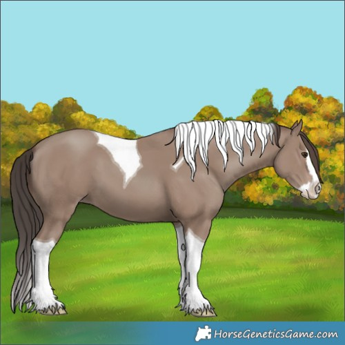 Horse Color:Classic Champagne Splash Tobiano 