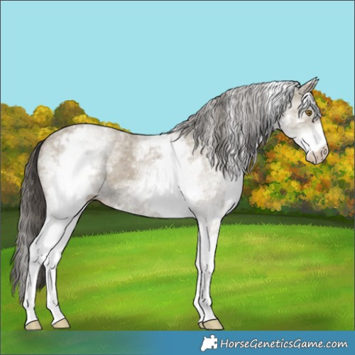 Horse Color:White Spotted Classic Cream Champagne 