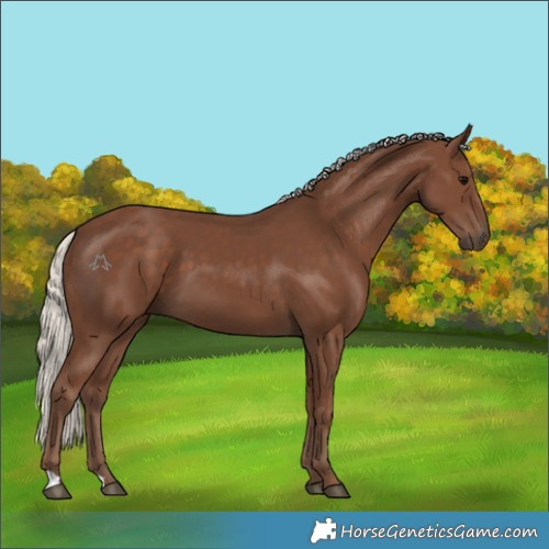 Horse Color:Silver Black 