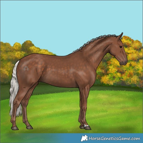 Horse Color:Silver Black 