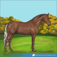 Horse Color:Silver Black 