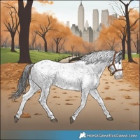 Horse Color:Black Sabino 