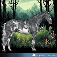 Horse Color:White Spotted Silver Black Chinchilla Sabino Frame