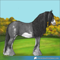 Horse Color:White Spotted Black Sabino Frame 