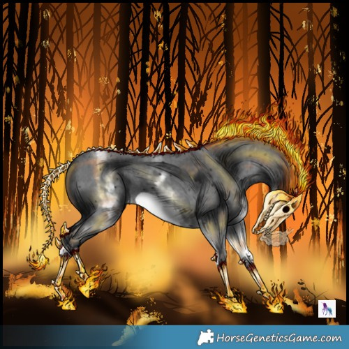 Horse Color:White Spotted Black Sabino Frame