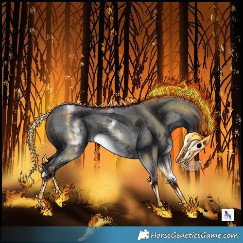 Horse Color:White Spotted Black Sabino Frame 