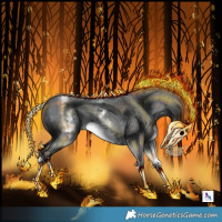 Horse Color:White Spotted Black Sabino Frame 