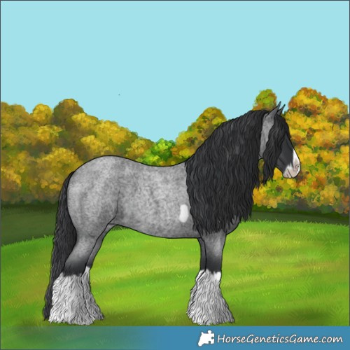 Horse Color:Blue Roan Splash Frame Rabicano 