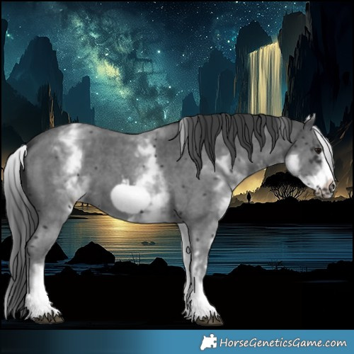 Horse Color:White Spotted Black Sabino Frame 