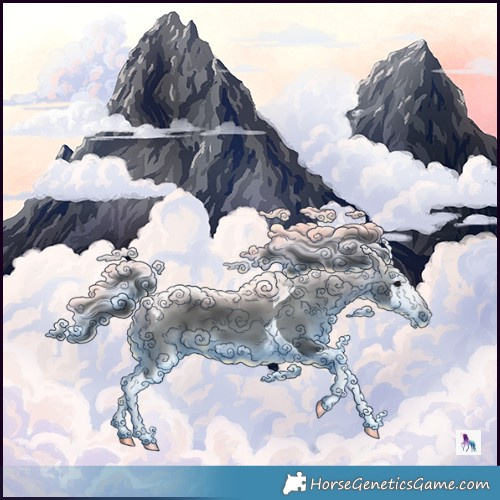 Horse Color:Black Splash Tobiano 