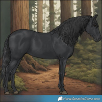 Horse Color:Black 